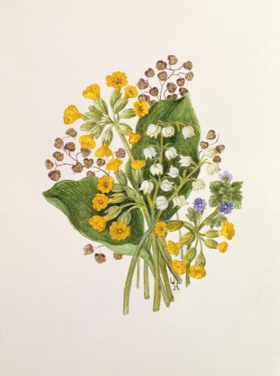 Lily of the Valley and Cowslips by Ursula Hodgson